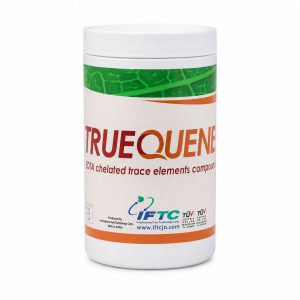 کود کلاته تروکوئن (True Quene) – حاصل نوین